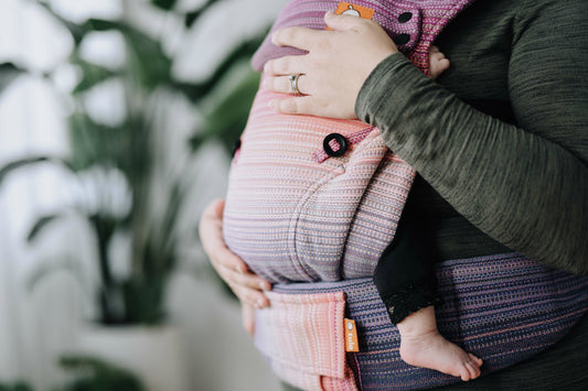 5 Ways A Signature Carrier is Different Than Other Tula Baby Carriers