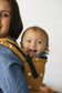 Play - Tula Toddler Carrier