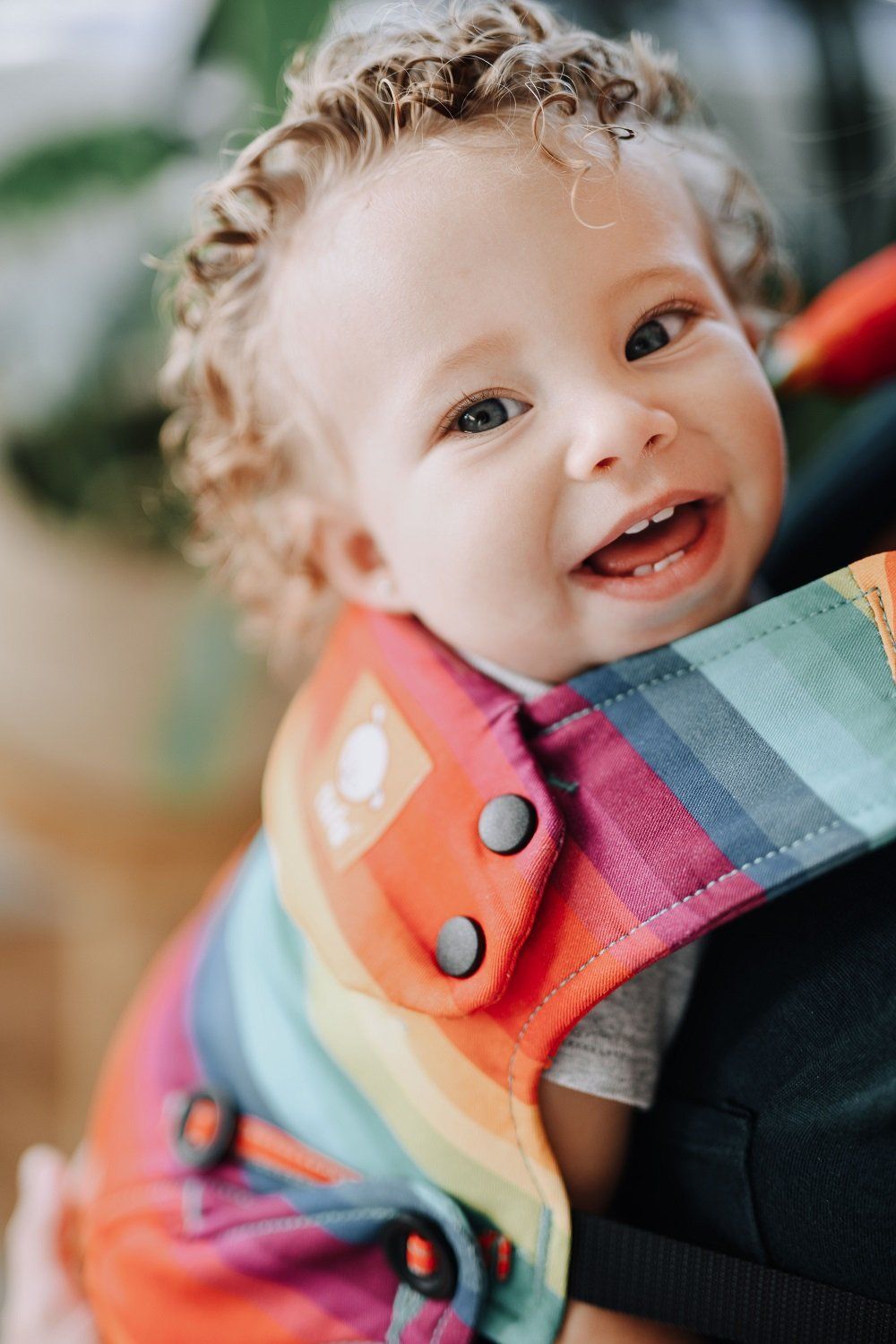 After the Storm - Tula Explore Baby Carrier